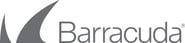 Barracuda Partner